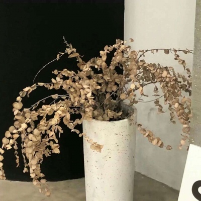 Furry绘画构图技巧兽圈社群